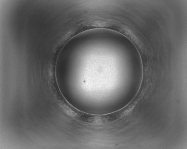 X0000071950305200607071217