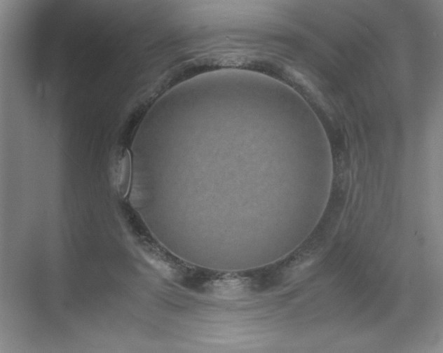 X0000071950307200607071217