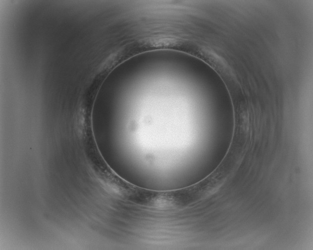 X0000071950308200607071217