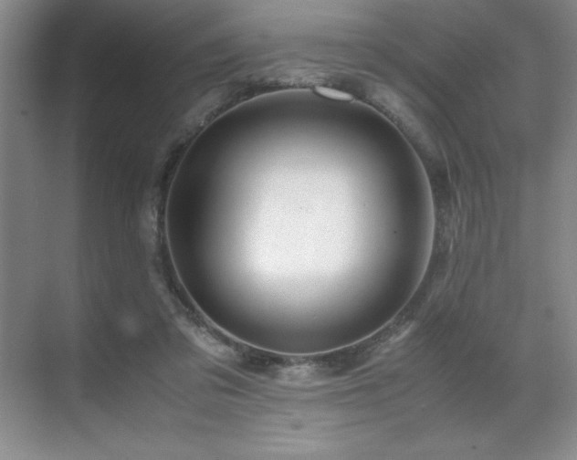 X0000071950309200607071217