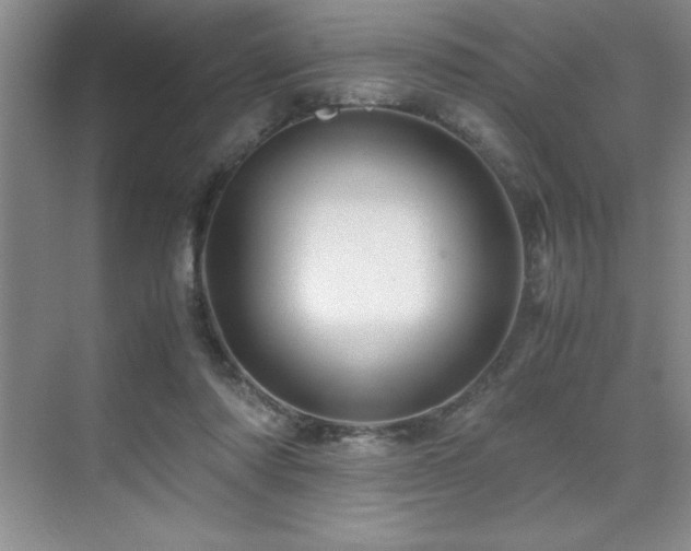 X0000071950310200607071217