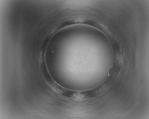 X0000071950311200607071217