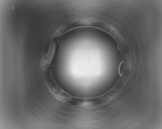 X0000071950312200607071217