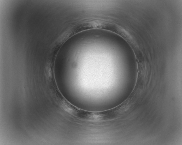 X0000071950313200607071217