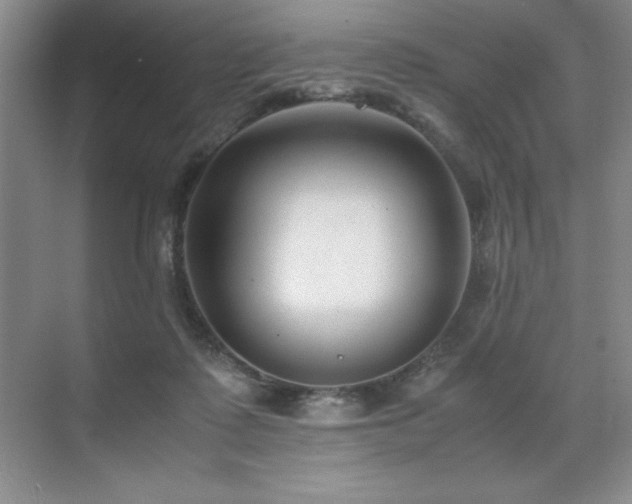 X0000071950315200607071217