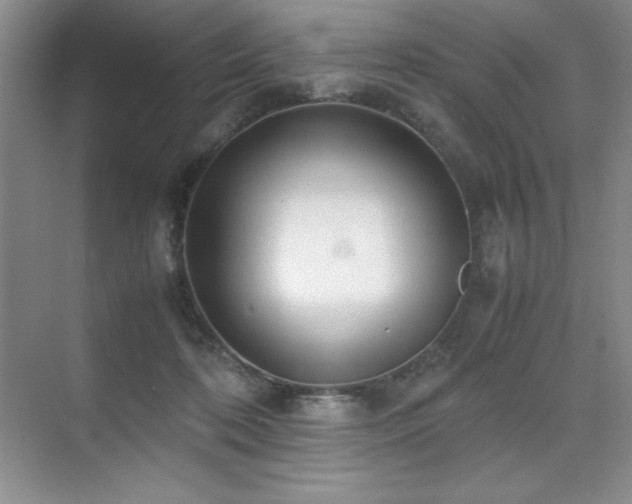 X0000071950316200607071217