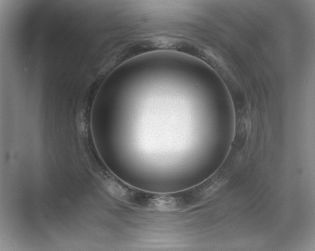 X0000071950317200607071217