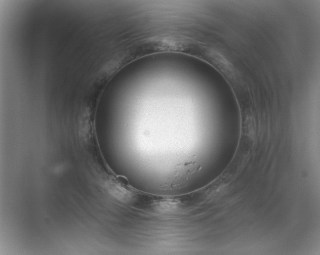 X0000071950318200607071217