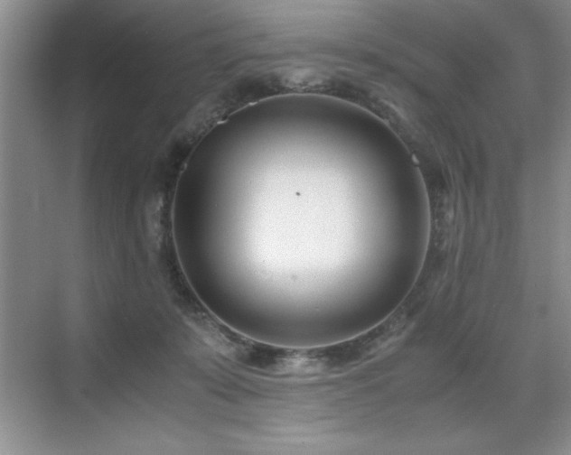 X0000071950319200607071217