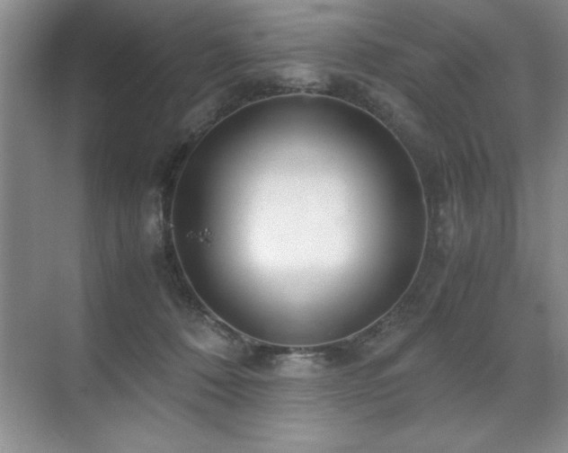 X0000071950320200607071217