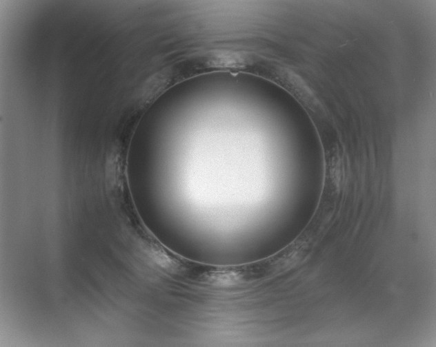 X0000071950322200607071217