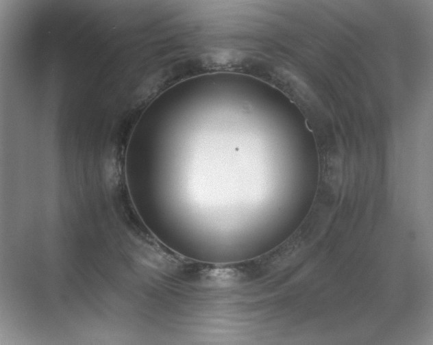 X0000071950324200607071216