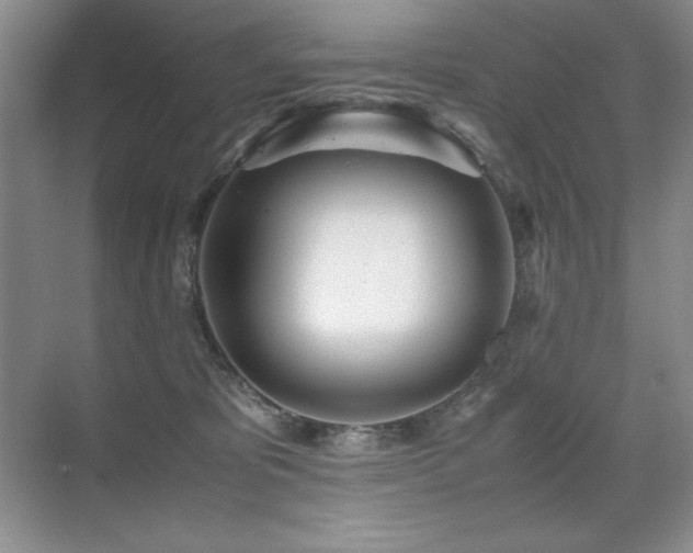 X0000071950325200607071216