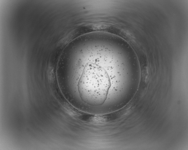 X0000071950327200607071216