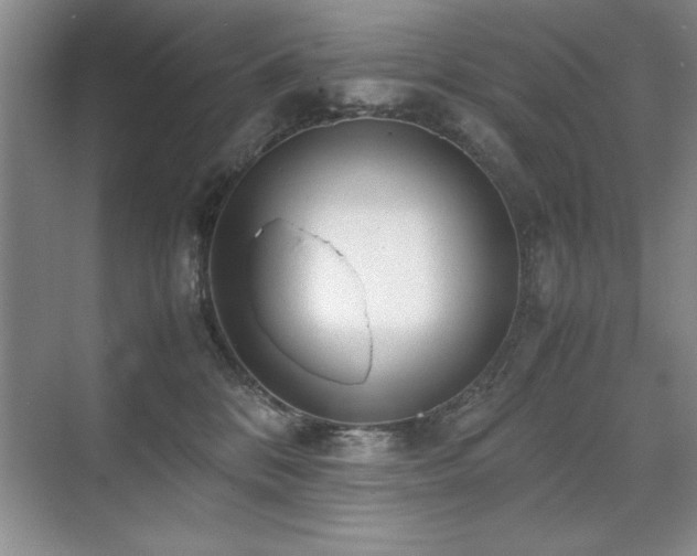 X0000071950328200607071216