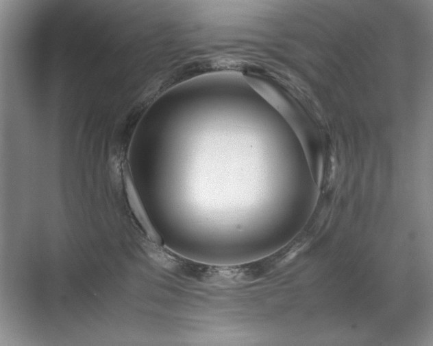 X0000071950329200607071216