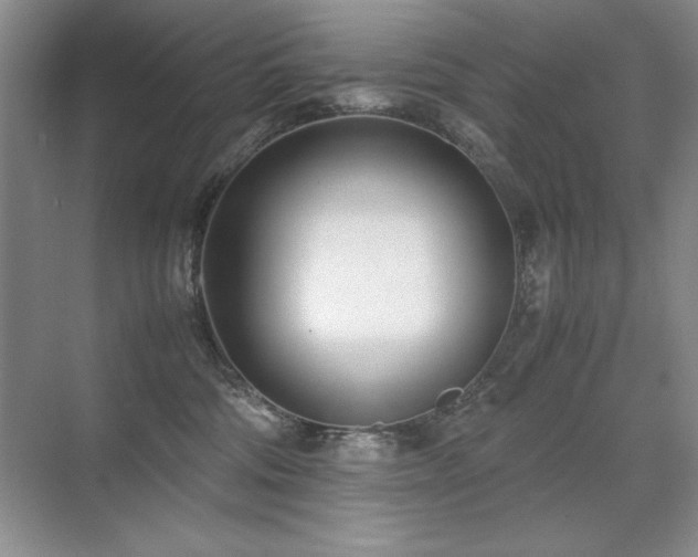 X0000071950330200607071216