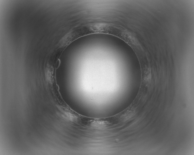 X0000071950332200607071216