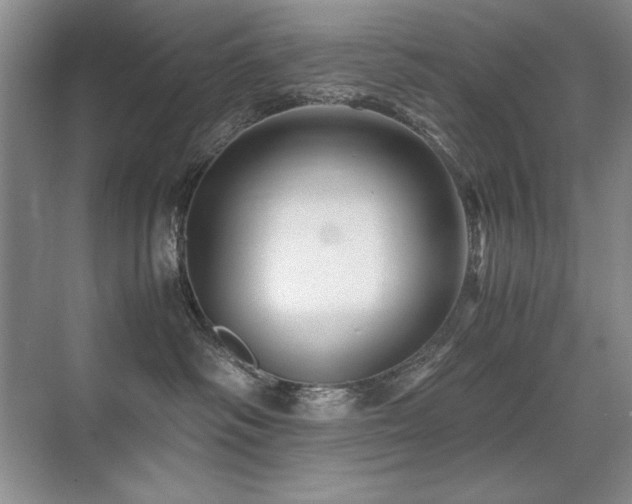 X0000071950334200607071216