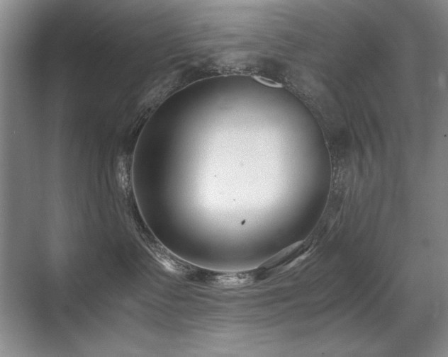 X0000071950335200607071216