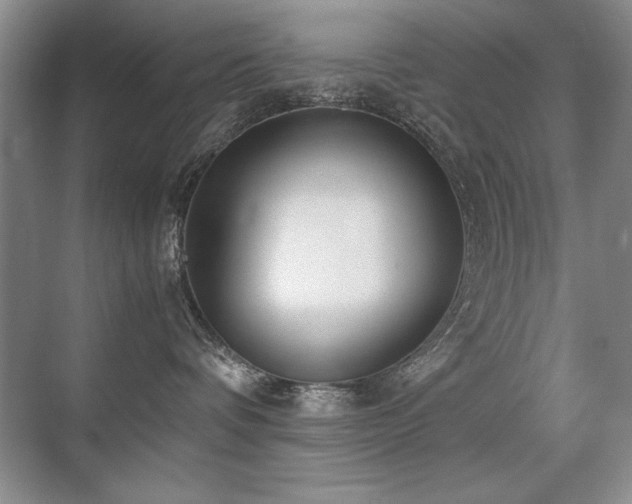 X0000071950336200607071216