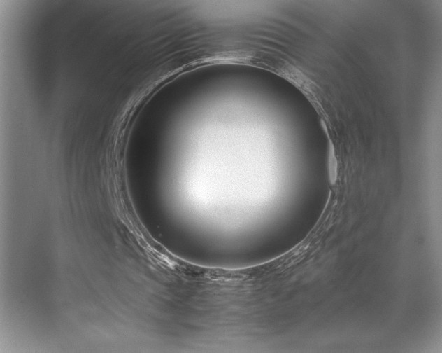 X0000071950337200607071215