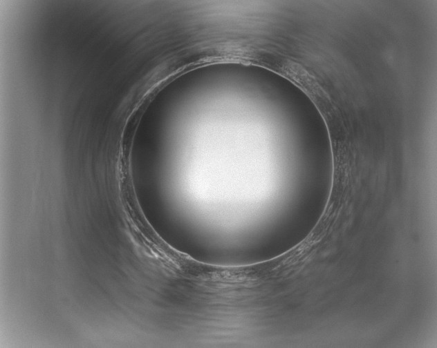 X0000071950338200607071216