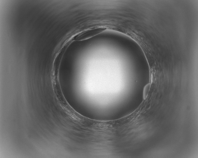 X0000071950339200607071216