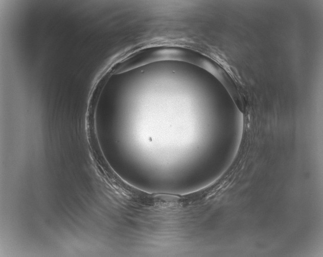 X0000071950340200607071216