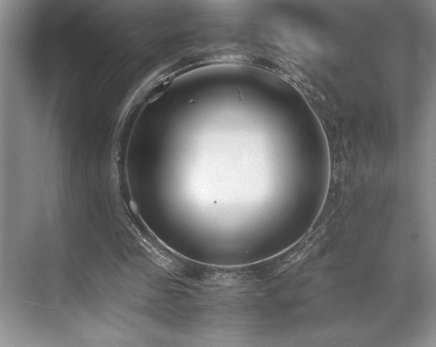 X0000071950341200607071216