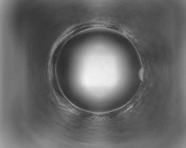 X0000071950343200607071216