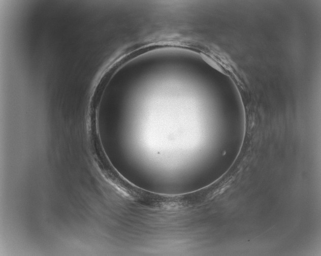 X0000071950344200607071216