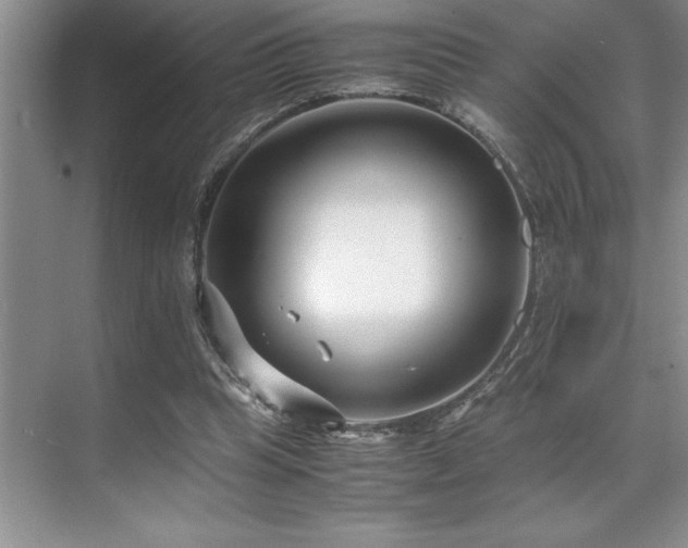 X0000071950345200607071216