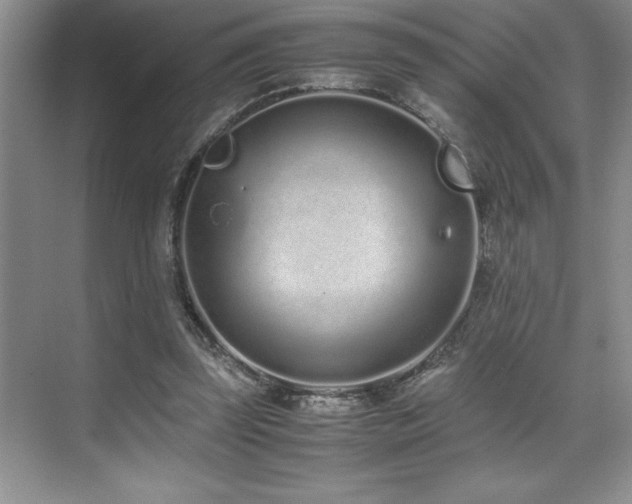 X0000071950347200607071216