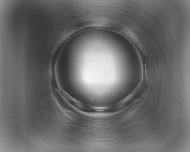 X0000071950348200607071216