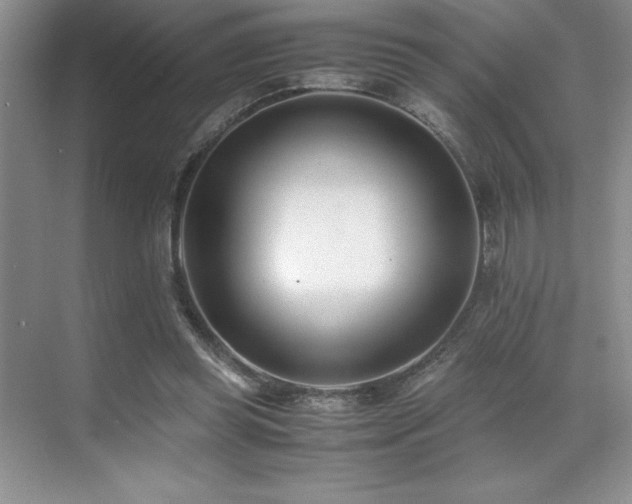 X0000071950349200607071216