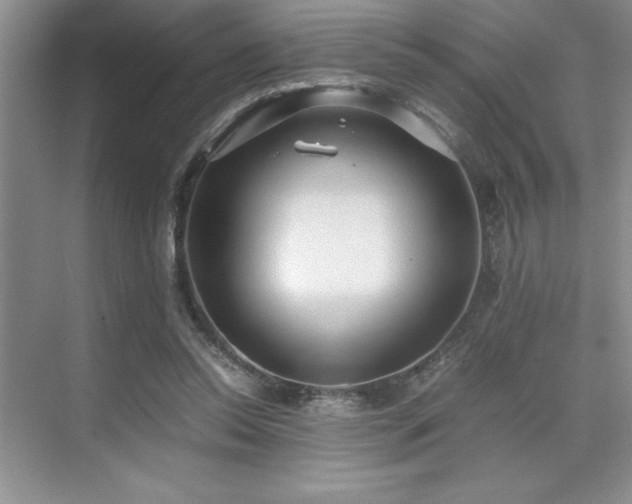 X0000071950350200607071216