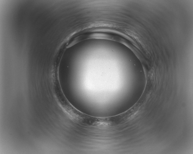 X0000071950352200607071216