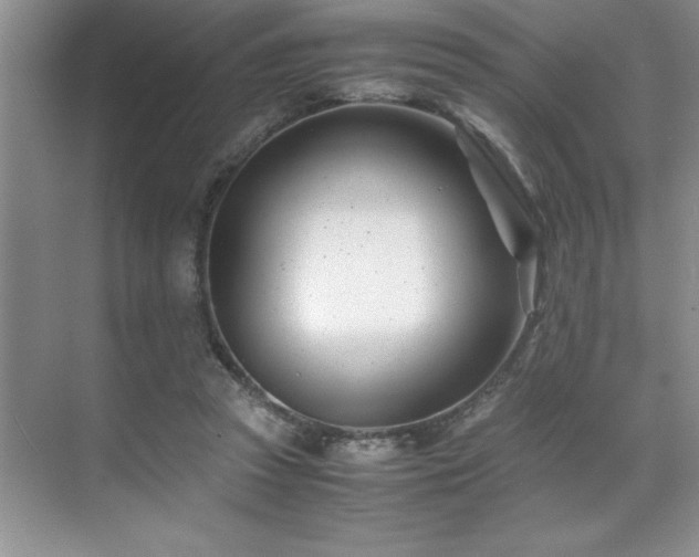 X0000071950353200607071216