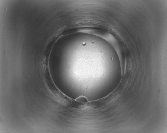 X0000071950356200607071216