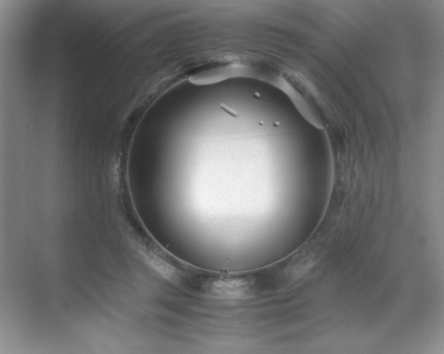 X0000071950357200607071216