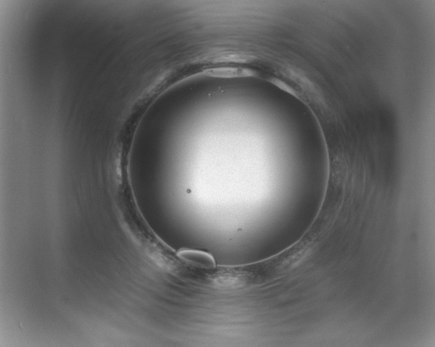 X0000071950358200607071216