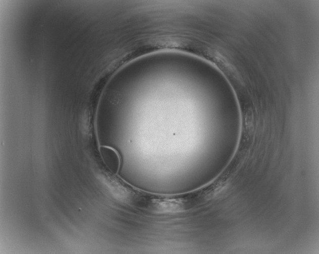 X0000071950359200607071216