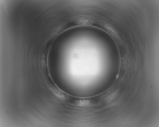 X0000071950361200607071216