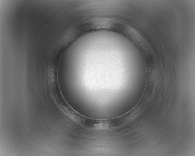 X0000071950362200607071216