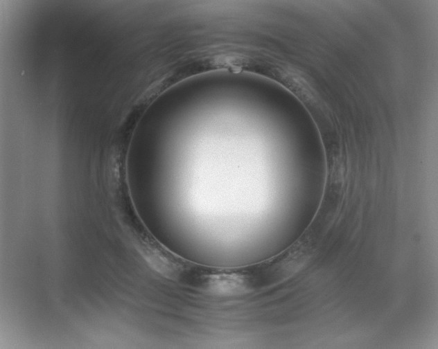 X0000071950363200607071216