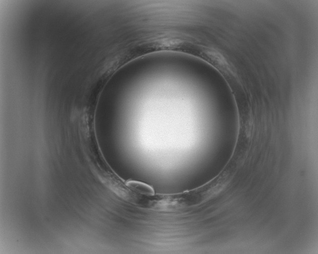 X0000071950366200607071216