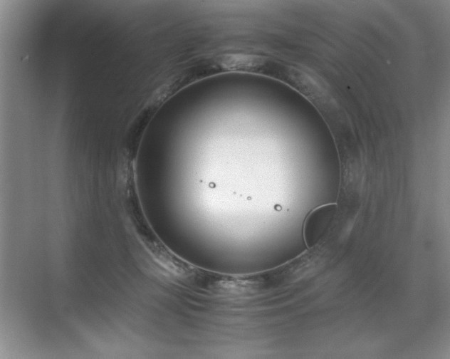 X0000071950367200607071216