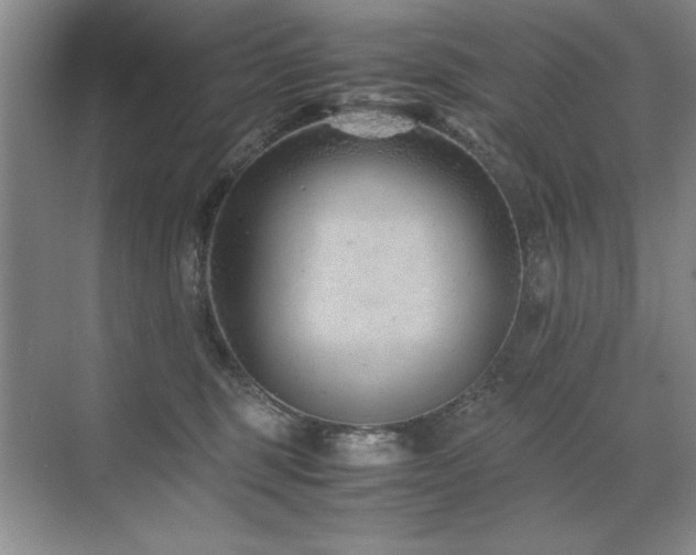 X0000071950375200607071216