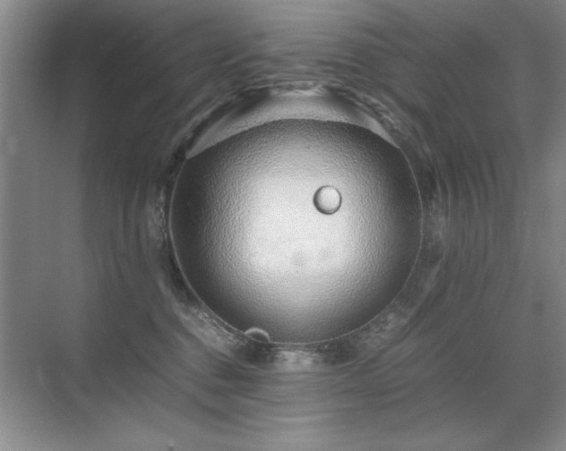 X0000071950376200607071216